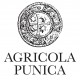 Barrua i.g.t. 75 cl - Agricola Punica